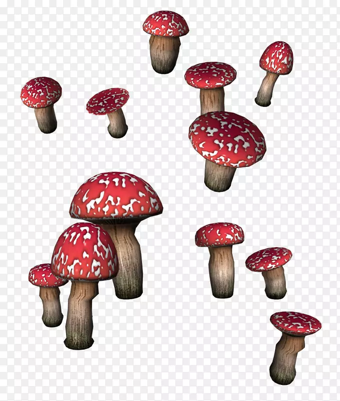 香菇牛肝菌剪贴画-蘑菇