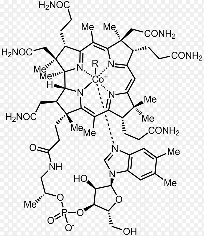 维生素b-12氰钴胺维生素B12缺乏症b维生素甲钴胺