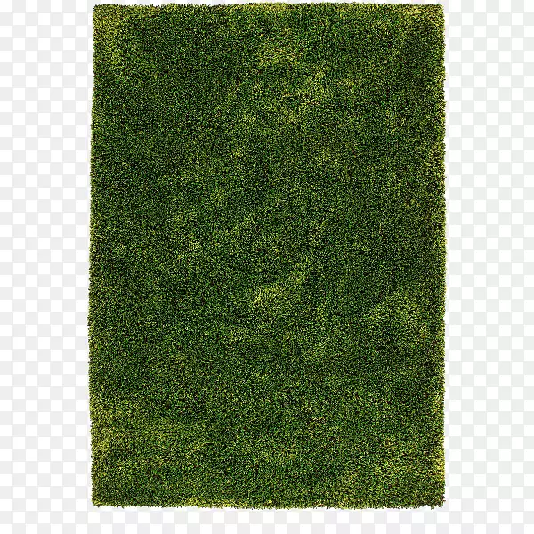 地毯堆色绿色无烟煤地毯