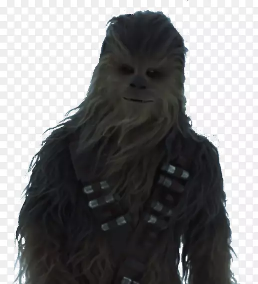 Chewbacca电影IMAX预告片千年隼独奏一个星球大战的故事