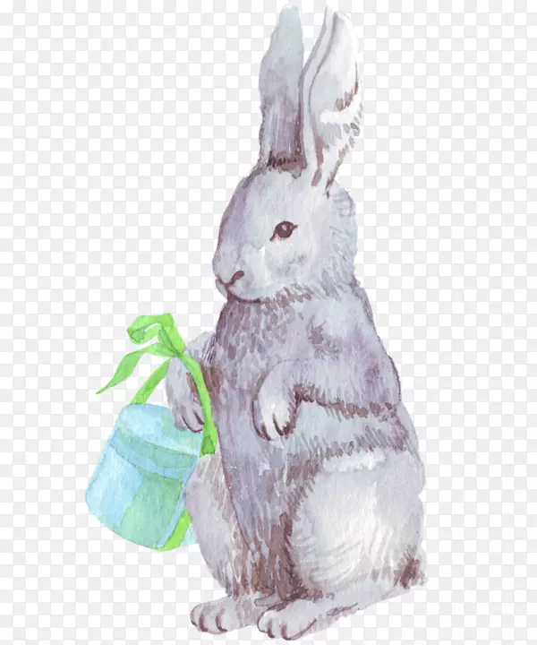家兔复活节兔子-复活节