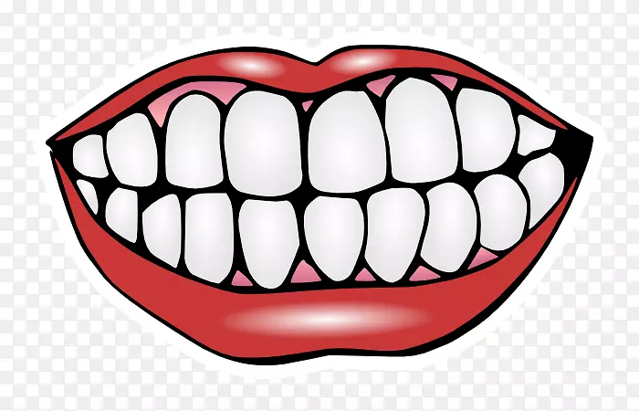 人类牙齿微笑夹艺术-前牙龈