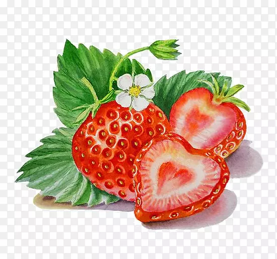 水彩画草莓画家-绘画