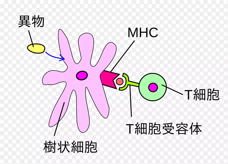 标志品牌-初学者