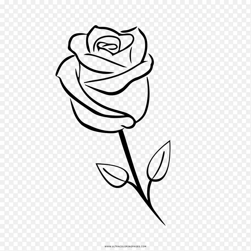 花园玫瑰画着色书剪贴画-玫瑰
