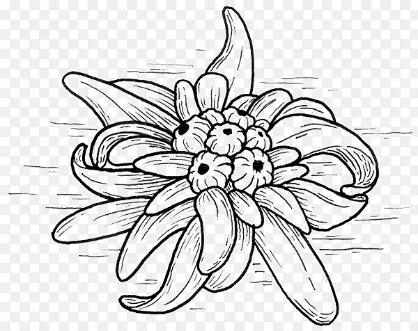 花卉设计图单色设计