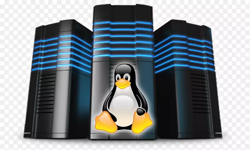 网络托管服务internet托管服务虚拟专用服务器专用托管服务域名linuxhost