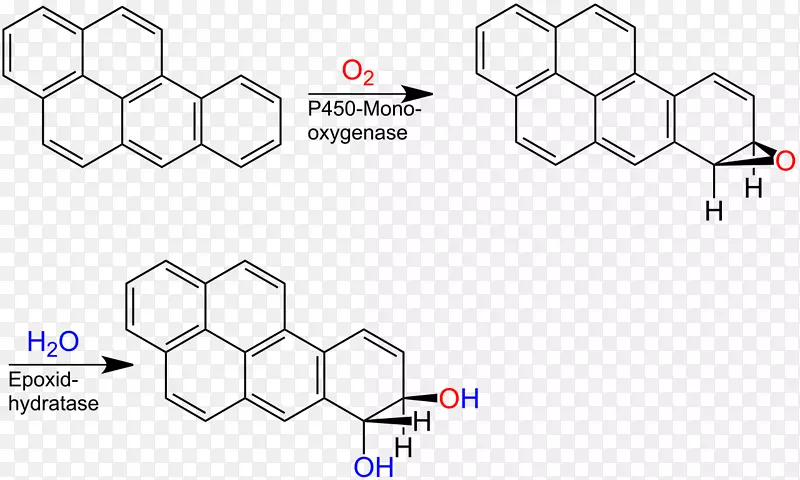 酮烯醇互变异构化学分子面粉甲虫代谢