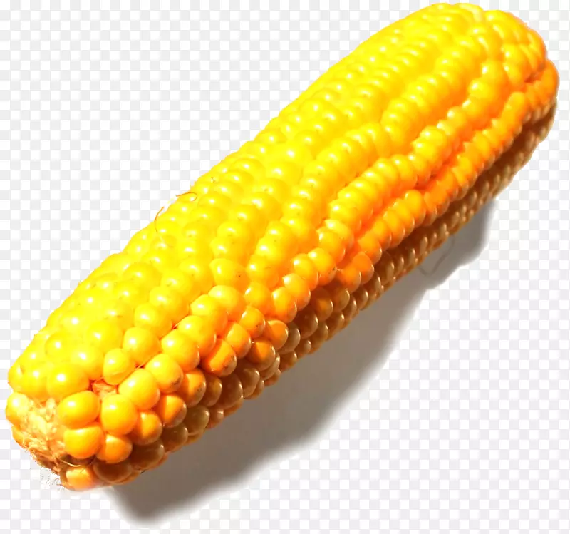 玉米对玉米芯商品玉米-epi