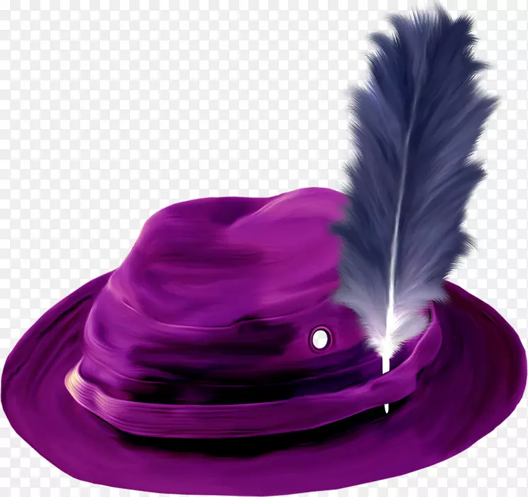 摄影紫罗兰帽夹艺术.紫罗兰