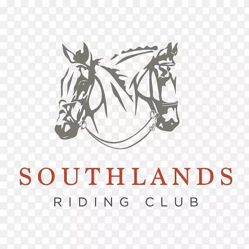 南地骑术俱乐部捐赠马匹维多利亚骑术俱乐部