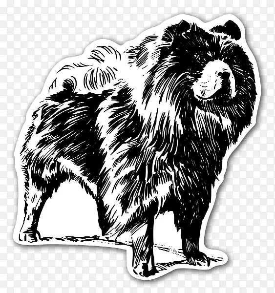 周狮小狗约克郡猎犬金毛猎犬-狮子