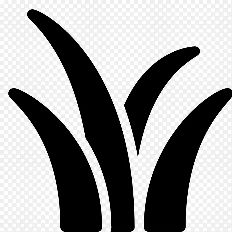 除草剂植被油田草坪叶喷泉草