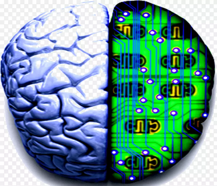 大脑youtube神经系统的进化视频科学大脑