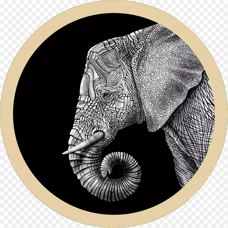 非洲象印度象画