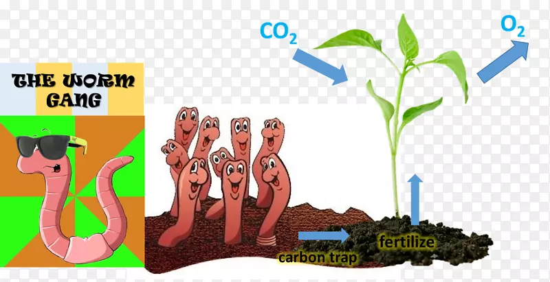 蚯蚓土壤二氧化碳环境教育