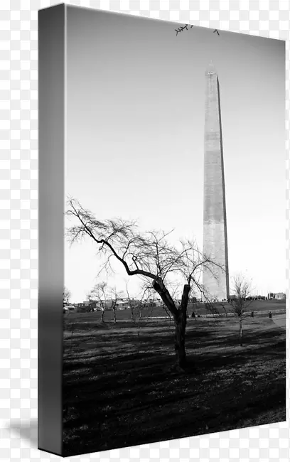 摄影白色天空plc-华盛顿纪念碑