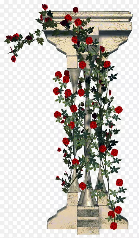 花园玫瑰柱花卉建筑.柱