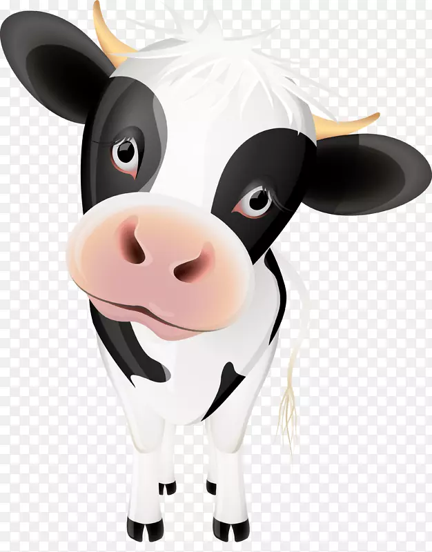 牛群卡通小牛剪贴画-搞笑牛