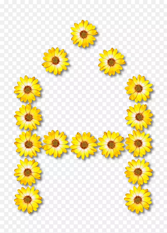 字母表花卉设计字母u-字母表花