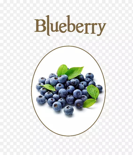 果汁蓝莓碎果汁