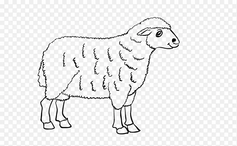 牛羊线画-羊