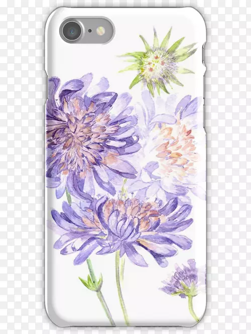 iphone 7电话iphone 6s苹果标识-草甸花