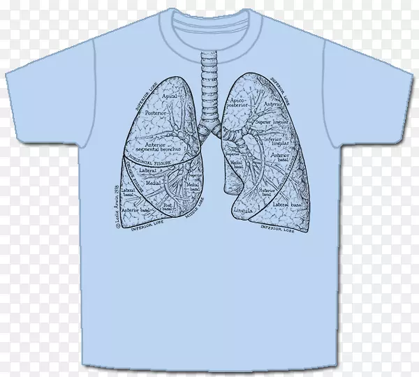 人消化系统呼吸系统袖t恤