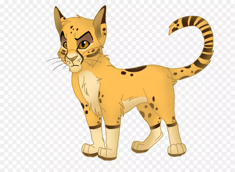 猎豹狮子胡须猫虎猎豹