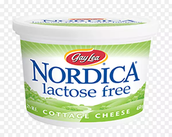 牛奶干酪乳糖不耐受性乳制品.干酪