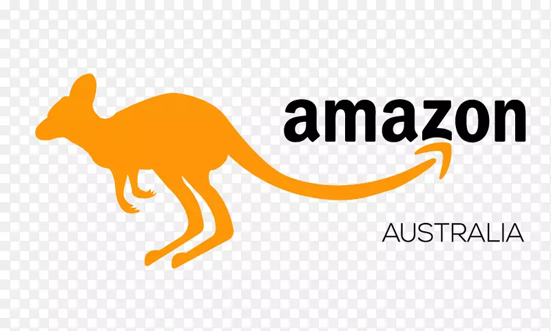Amazon.com亚马逊回声财宝卡车零售网上购物