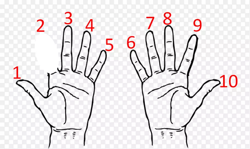 拇指魔术乘法表学习手赞