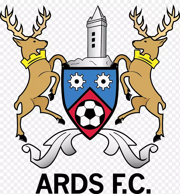 Ards F.C.Cliftonville F.C.NIFL英超科莱莲F.C.-足球