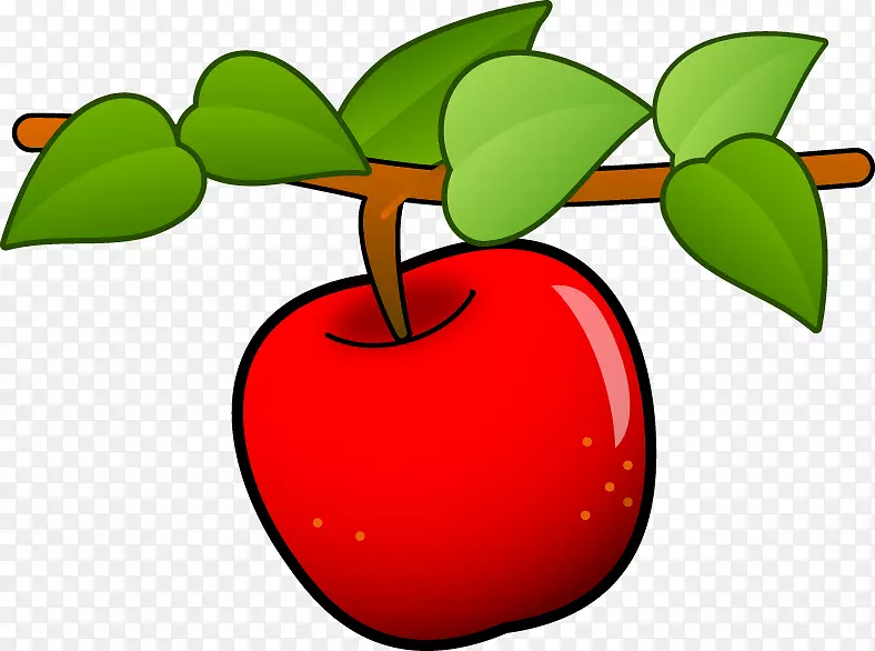 苹果树叶夹艺术-水果和蔬菜菜肴