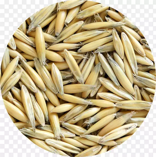 燕麦谷类原料摄影玉米片-燕麦