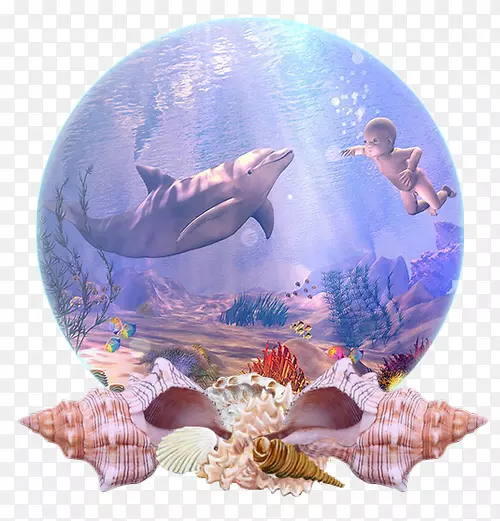 海豚海洋生物珊瑚礁鱼桌面壁纸-海豚