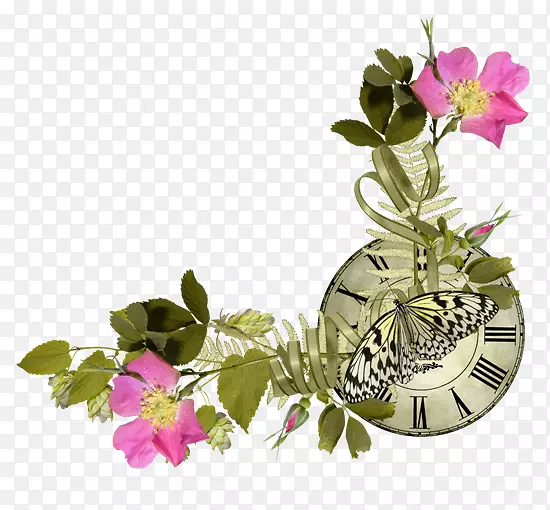 花卉中心博客花卉设计剪贴画-花卉