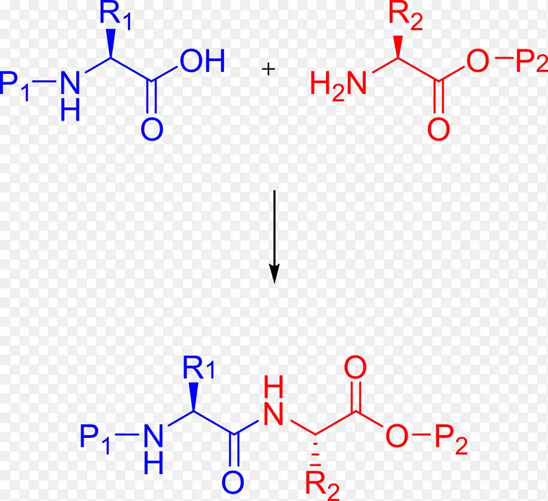 肽合成化学合成Merrifield合成化学合成肽