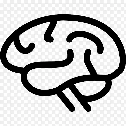 人脑多媒体计算机程序演示系统-大脑