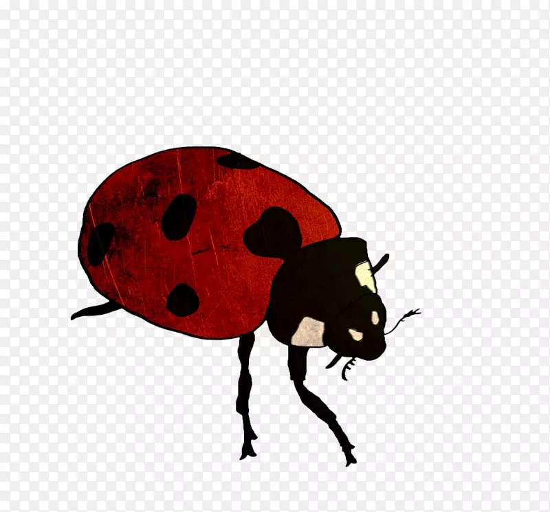 甲虫鼻虫夹虫艺术-甲虫