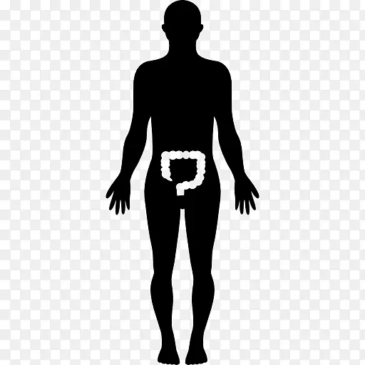 人体女性体型智人体型