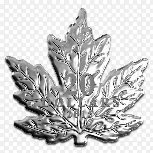 加拿大金枫叶加拿大银枫叶-加拿大