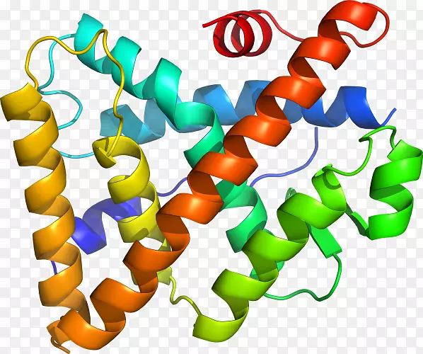 类固醇激素受体剪贴术-促肾上腺皮质激素释放激素受体1