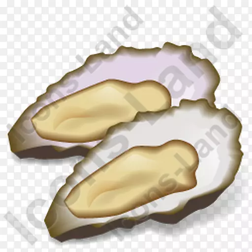 蛤蜊贻贝海鲜牡蛎果科-牡蛎图标