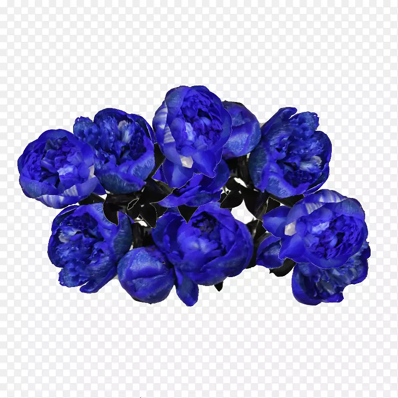 蓝牡丹花束切花-牡丹