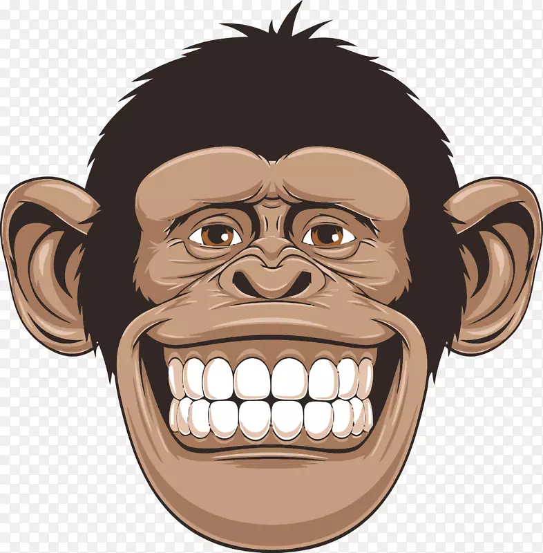 黑猩猩灵长类画猴