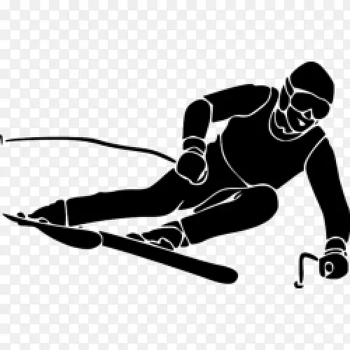 高山滑雪，自由式滑雪，自由泳-滑雪