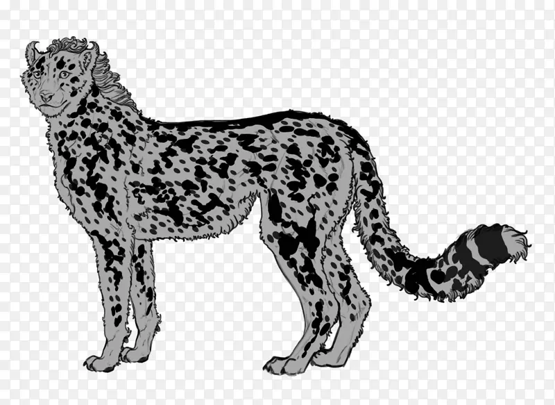 豹猎豹狮子犬品种-豹