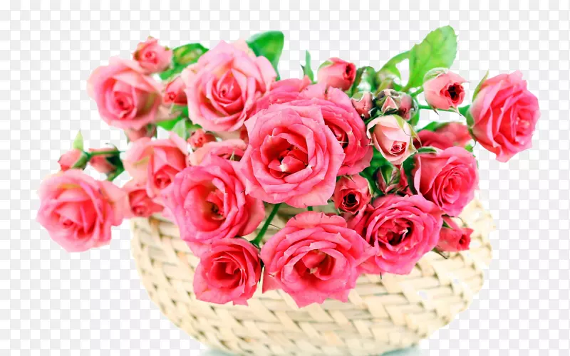 花园玫瑰花束粉红色花