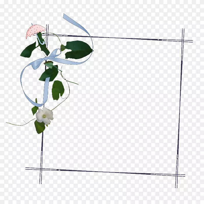 彩色PSD免抠